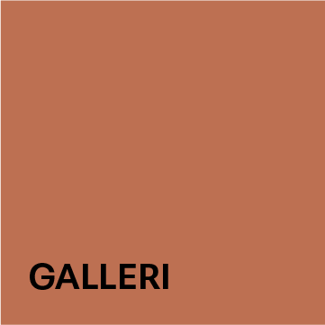 MVP_forside_galleri